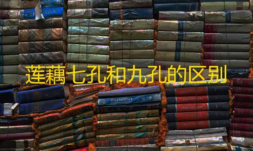 和平地铁辅助器(免费)莲藕七孔和九孔的区别